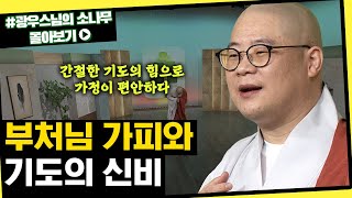 부처님 가피와 기도의 신비 [초심으로 돌아가는 광우스님의 소나무 시즌3 몰아보기]