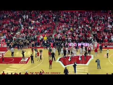 Michigan vs Wisconsin Brawl | Fan Video