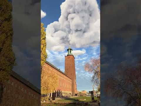 Cloud Mufasa at Stockholm City Hall 🇸🇪