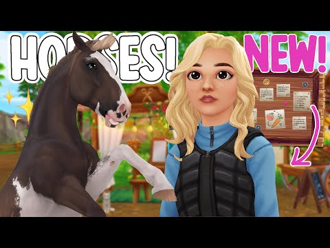 BUYING NEW MUSTANG COAT COLOR, NEW HOME STABLE CHORES, NEW MAKEUP, MOORLAND REVAMP, & MORE!!