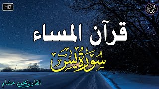 قرآن المساء | قرآن كريم للمساعدة على الراحه النفسيه - قران كريم بصوت جميل جدا جدا💚راحة نفسية لا توصف