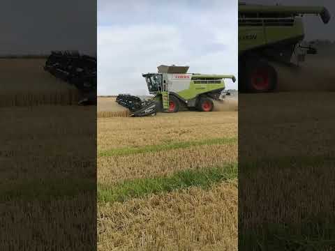 Claas Lexion 770