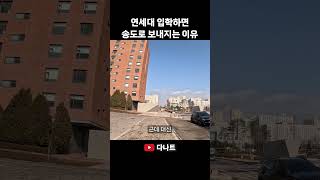 연세대 입학하면 송도로 보내지는 이유