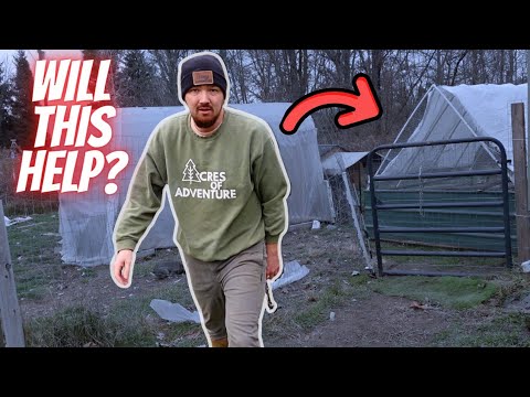 The HOMESTEADING Year Never Ends ....(here we go again)