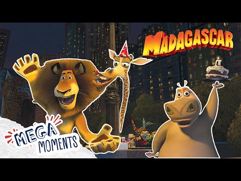 Ultimate Madagascar Special! 🦁🦛🦓🦒 | Madagascar 1 - 3 | Compilation | Mega Moments