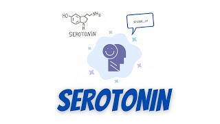 Serotonin: what is it & How does it works?