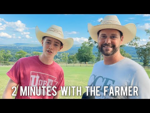 How To Know When To Retire Sheep | 2 Minutes With The Farmer