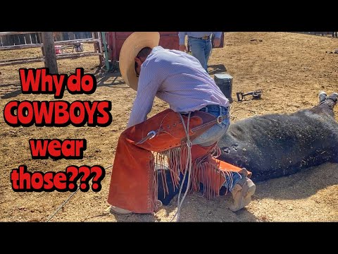 Brooks finds a TREASURE | Branding BIG calves