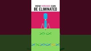 How Viruses Can Be Eliminated!