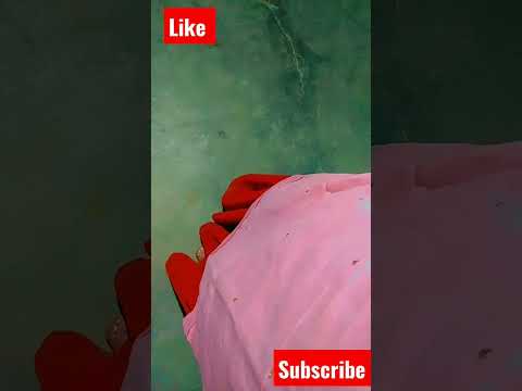 juti pnjabi short video like subscribe plz