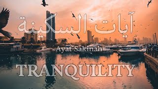 آيات السكينة لدفع القلق والهموم | AYAT OF TRANQUILITY - SAKINAH