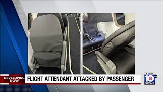 Airline passenger accused of attacking flight attendant on plane bound for South Florida