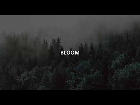 BLOOM (Brahny)