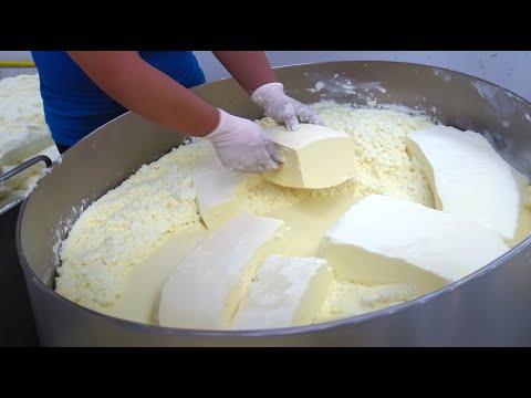 Making Cheese from Freshly Milked Dairy at the Farm. Korean handmade cheese