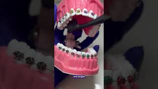 How to brush properly when you have braces #oralcare #howto #dentalcare