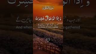 Surah Takwir #hafiz talha attari #youtubeshorts