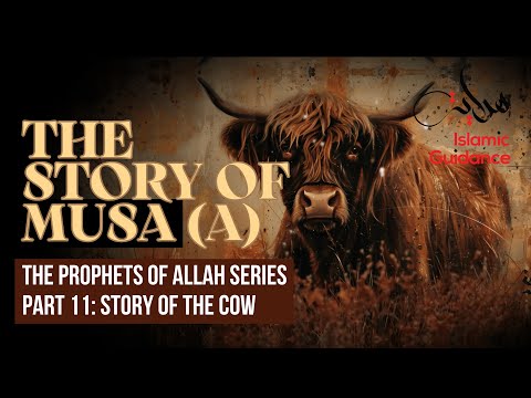 37 - The Story Of Musa (Moses) - P11 - The Story Of The Cow Baqarah (Prophet Series)