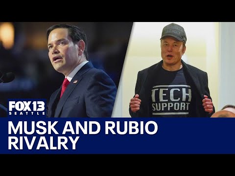 Elon Musk and Marco Rubio rivalry | FOX 13 Seattle