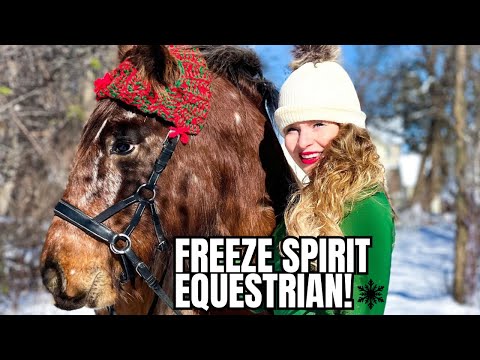 Winter Hit Our Horse Farm Full Force! Frozen Troughs, Fuzzy Horses, & Crazy Barn Prepping