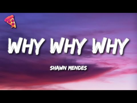 Shawn Mendes - Why Why Why (Lyrics)