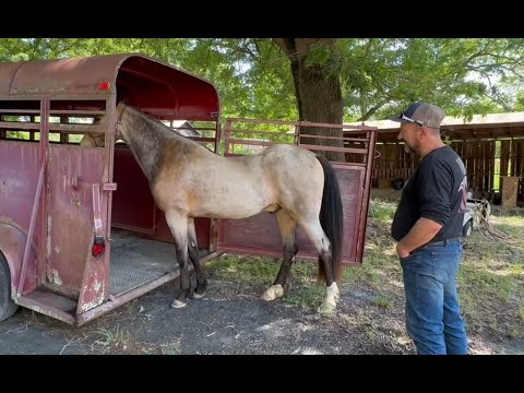 Great example of why less is more with horsemanship! Make our idea their idea!