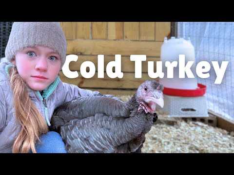 Surviving a cold front with 50+ Farm Animals