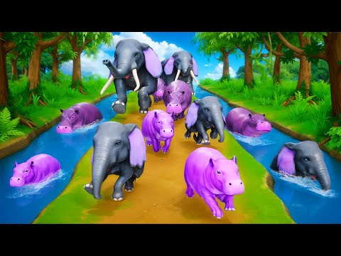 10 Elephants vs 10 Hippos: Epic Race Showdown in the Wild! Who Will Win This Thrilling Adventure?