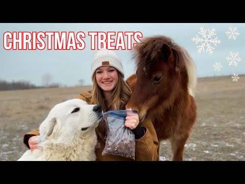 Making Homemade Christmas Treats for the Farm Animals ✨🍬