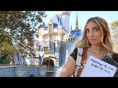 i used disneyland as my office