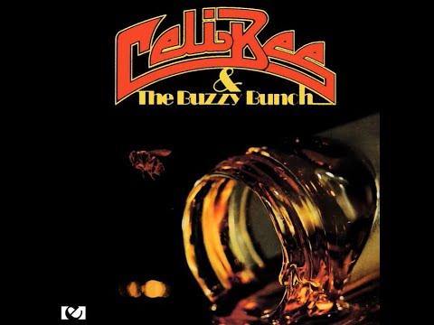 Celi Bee & The Buzzy Bunch...Closer, Closer...Extended Mix...