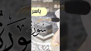 سورة المؤمنون لياسر الدوسري #ياسر_الدوسري #سورة_المؤمنون #قرآن #الحمدلله