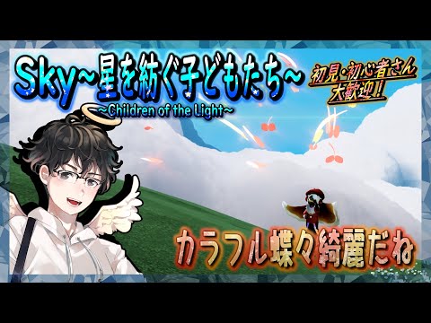 【Sky～星を紡ぐ子どもたち～】カラフル蝶々綺麗だね（Sky～children of the light～）