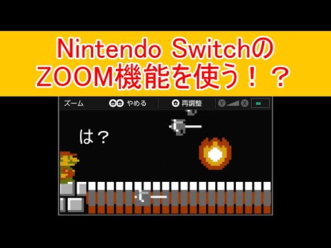 一寸先は闇マリオ#12 Nintendo SwitchのZOOM機能を使う！？ ZOOM MARIO