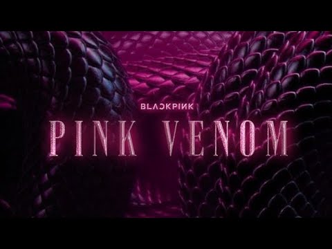 PINK VENOM DANCE COVER (chorus)