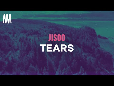 JISOO - Tears (Lyrics/Letra)