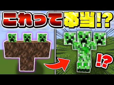 【マイクラ】ウソみたいなチート裏技を検証したら面白すぎたｗｗｗ【Minecraft・マインクラフト】