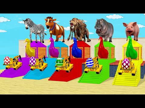 Cow Elephant Tiger Zebra Hippo 3d Animal Long Slide Game Funny 3d Paint Animals Cage Game