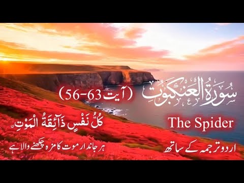 Surah Al-Ankaboot سورہٴ عنکبوت  (The Spider) ayet (56-63) with (urdu subtitle)