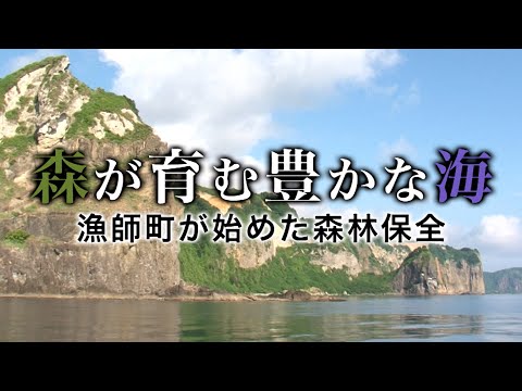 森が育む豊かな海 漁師町が始めた森林保全｜ガリレオX第11回