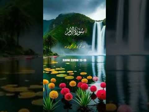 Al Quran Recitation deep and inner relaxation #surahrahmanforhealing #islamicvideos