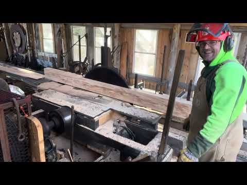 Sawing hemlock