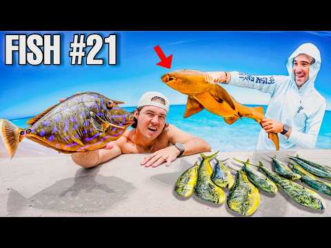 Catching 24 SEA CREATURES In 24 HOURS! *What did we catch?*