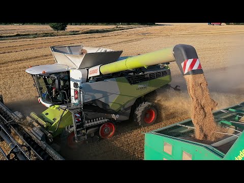 CLAAS LEXION 8800 TT & MacDon FD-75 Flexdraper | JOHN DEEERE 8360R & HAWE ULW 3000 - Harvest 2021