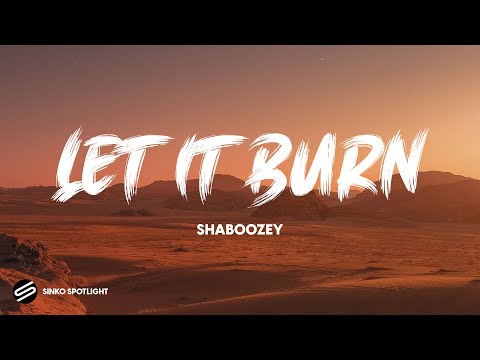 Let It Burn - Shaboozey