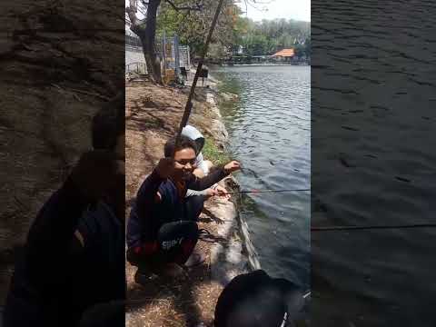 spot mancing nila liar surabaya #fishing #mancingliarsurabaya #mancingmania #mancing