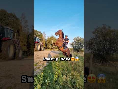 Smarty Move😱#trending #horse #france #equestrian #fyp #viralshorts #foryou #foryoupage #horseriding