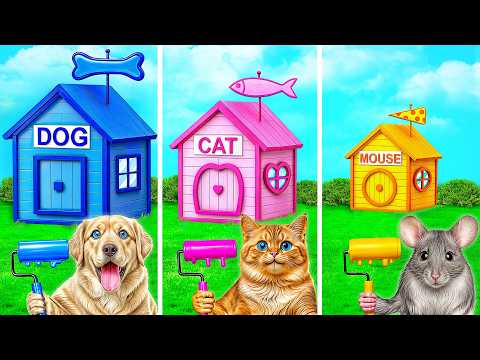 One Colored House Challenge with Dog, Cat and Hamster by Multi DO Smile