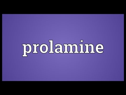 Prolamine Meaning