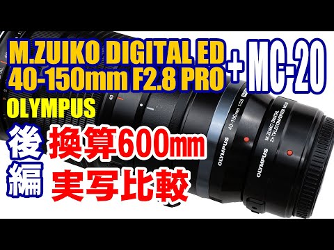 MZUIKO DIGITAL ED40-150mmF2.8PRO実写レビュー後編。２倍テレコンMC-20使用で換算600mm撮影テストしてみました。