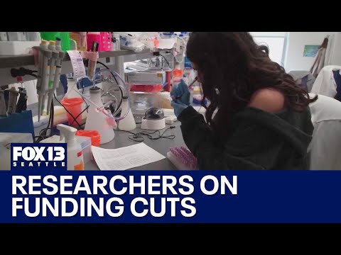 Researchers grapple with potential federal funding cuts | FOX 13 Seattle